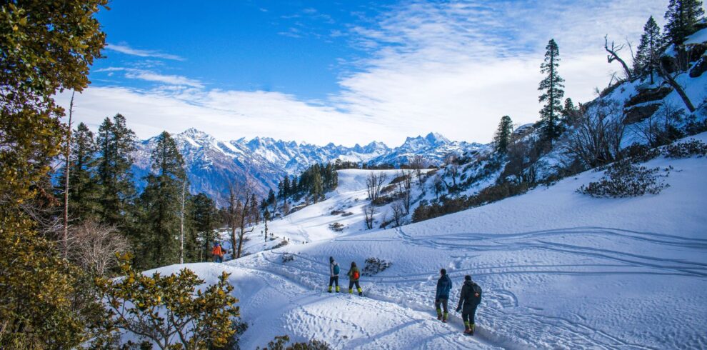 6 Days manali and shimla tour package by private cab