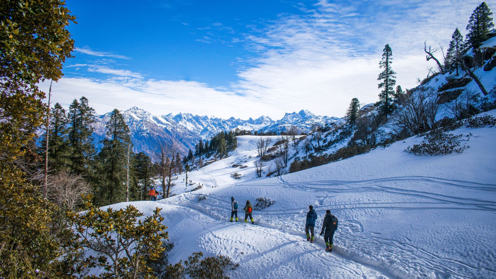 6 Days manali and shimla tour package by private cab